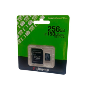 Micro SD Kingston 256GB